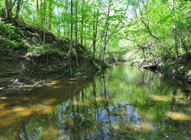 Heinzerling Family Five Points Nature Preserve (ACRES)