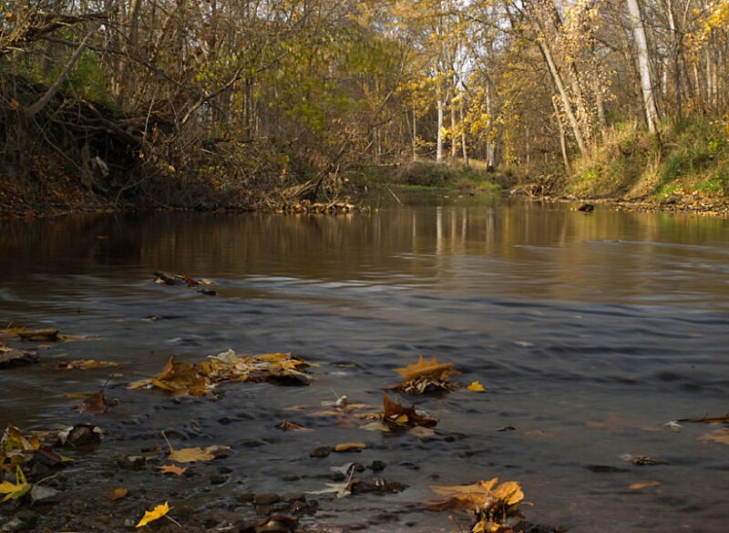 James P. Covell Nature Preserve (ACRES)