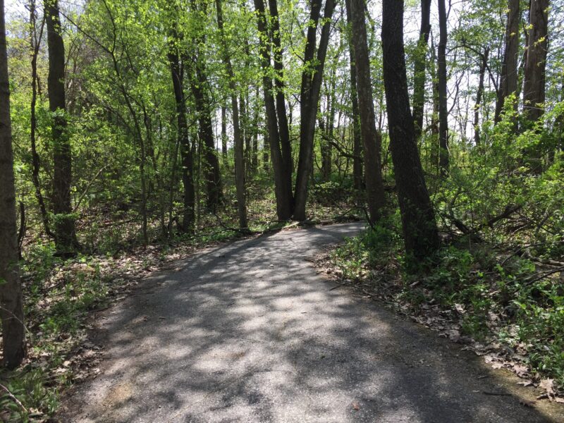 St. Joe River Greenway (1.3 mi)